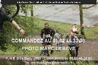 13219 photo